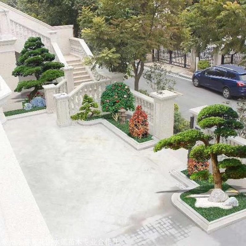 鲜花批发:打造城市美丽风景线